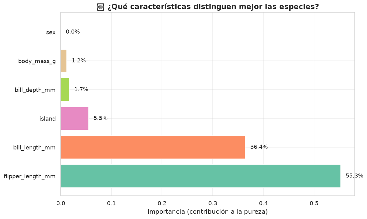 Decision Trees — Penguin Classification - Mobile view