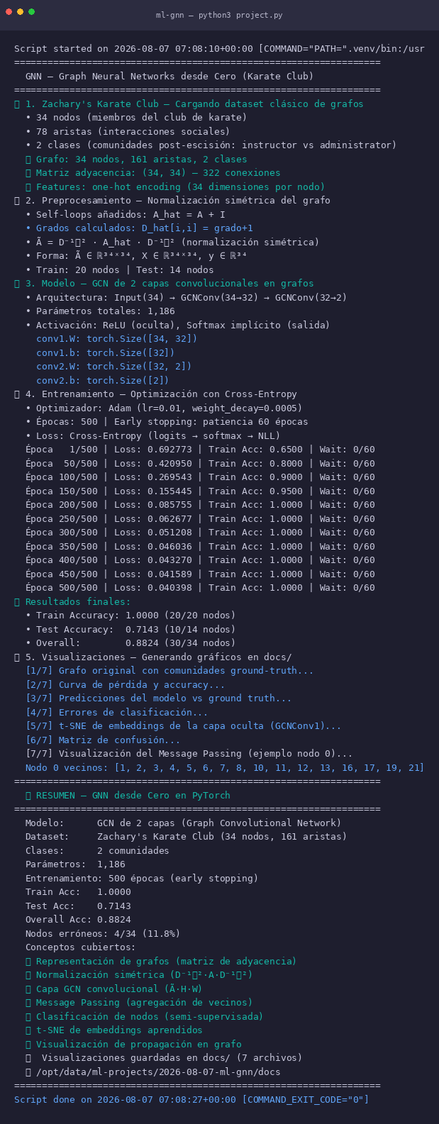 GNN — Graph Neural Networks - Terminal del proyecto