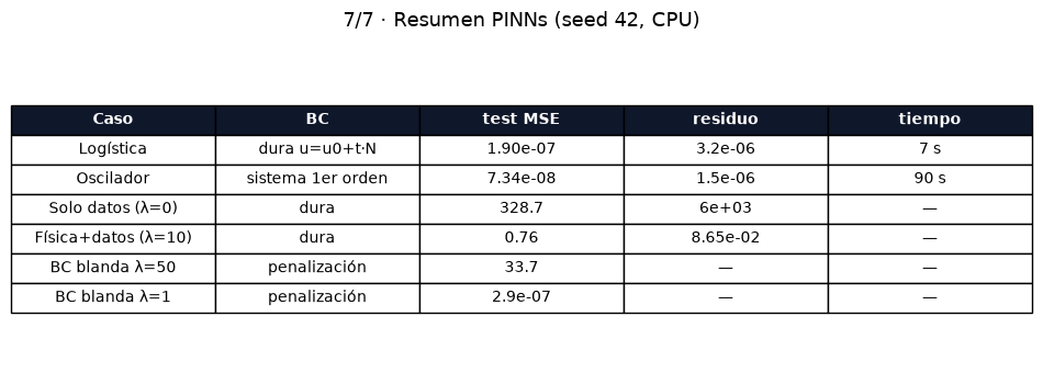 PINNs: neural networks that solve differential equations - Resumen PINNs