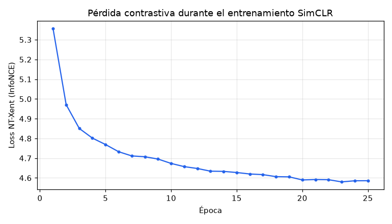 SimCLR — Self-Supervised Learning contrastivo - Loss NT-Xent (contrastiva)