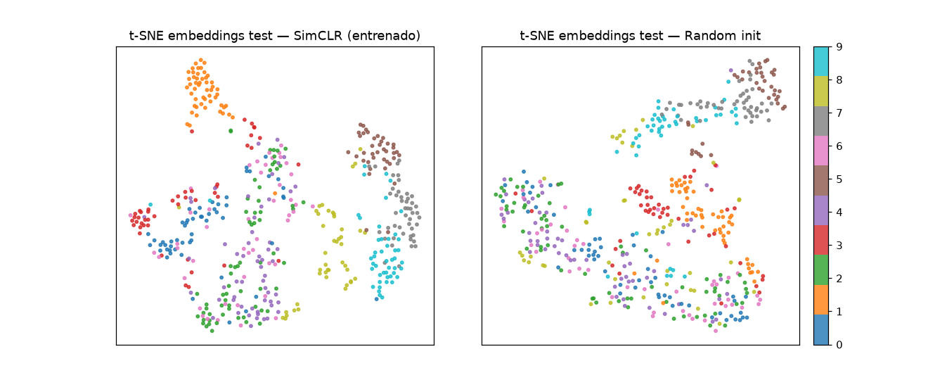 SimCLR — Self-Supervised Learning contrastivo - t-SNE: SimCLR agrupa, random no