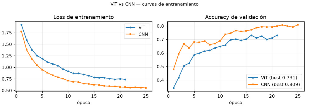 Vision Transformer desde cero — ViT vs CNN en Fashion-MNIST - Curvas de entrenamiento ViT vs CNN