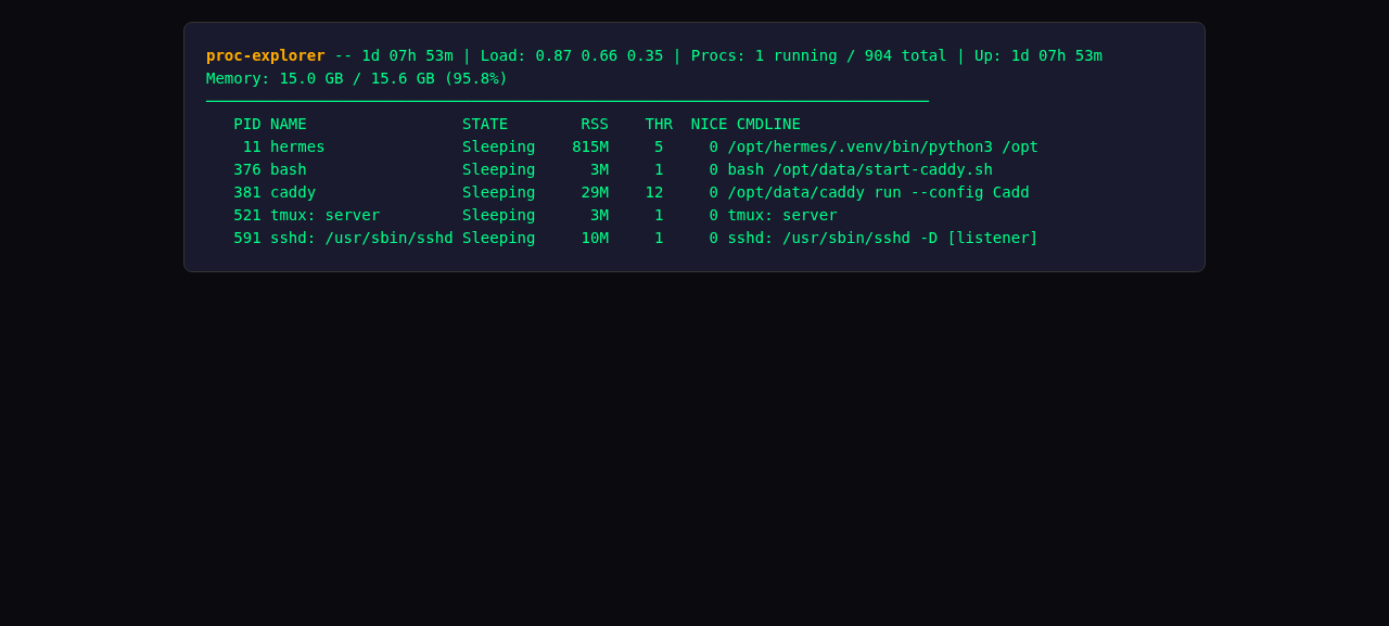 Proc Explorer - Mobile view