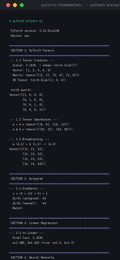 PyTorch Fundamentals - Vista mobile
