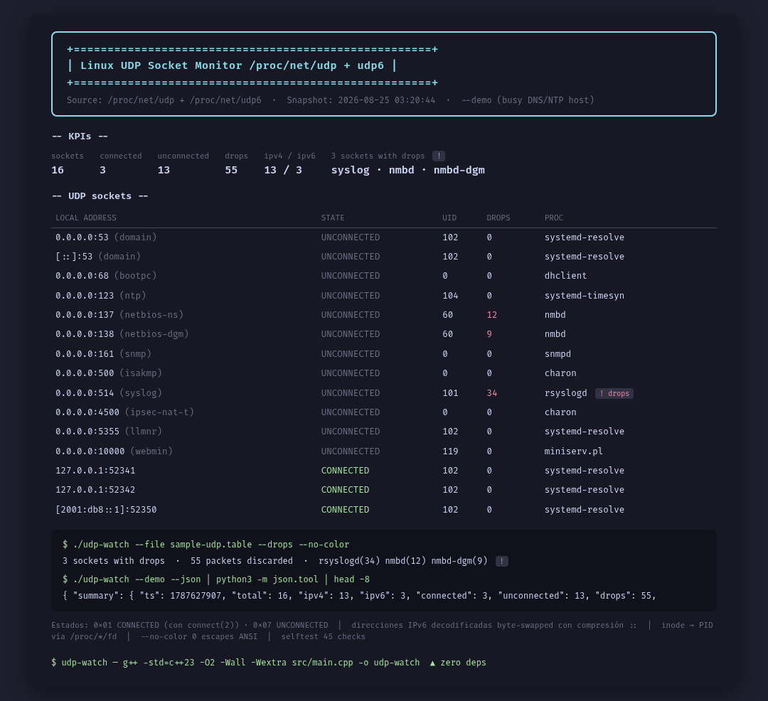 udp-watch
